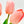 10 Stems Real Touch Tulips Stems, Artificial Flower High Quality Faux Floral, Wedding/Home Gifts Decor Floral Craft Tulip - Pink T-003