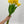 10 Stems Real Touch Tulips Stems, Artificial Flower High Quality Faux Floral, Wedding/Home Gifts Decor Floral Craft Tulip - Yellow T-004