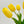 10 Stems Real Touch Tulips Stems, Artificial Flower High Quality Faux Floral, Wedding/Home Gifts Decor Floral Craft Tulip - Yellow T-004