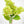 35” Cone Hydrangea Stem Realistic Luxury High Quality Artificial Flower Wedding/Home Decoration Gifts | Decor Silk Floral Light Green H-015