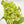 35” Cone Hydrangea Stem Realistic Luxury High Quality Artificial Flower Wedding/Home Decoration Gifts | Decor Silk Floral Light Green H-015