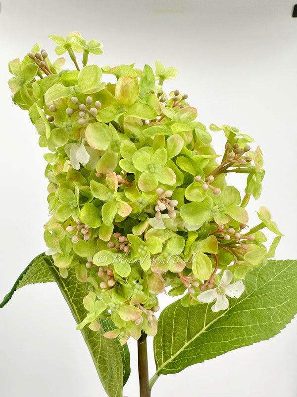 35” Cone Hydrangea Stem Realistic Luxury High Quality Artificial Flower Wedding/Home Decoration Gifts | Decor Silk Floral Light Green H-015