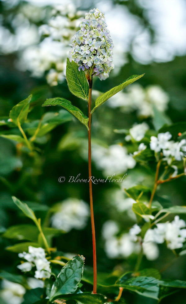 35” Cone Hydrangea Stem, Realistic High Quality Artificial Flower Wedding/Home Decoration Gifts DIY Decor Silk Floral Decor Light Blue H-014