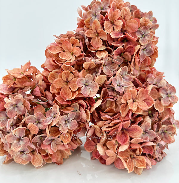 Fall-Brown Dried-Look Large Head Hydrangea | Realistic Luxury Quality Artificial Flower | Wedding/Home Decoration Gifts Floral Faux H-028