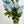 Real Touch Rose Bud Stem | 23" Tall Latex Luxury Quality Artificial Flower Wedding/Home Decoration Gifts Floral Faux Bouquet Sky Blue R-036