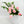 Real Touch Rose Bud Stem 23" Tall Latex Luxury Quality Artificial Flower Wedding/Home Decoration Gifts Floral Faux Bouquet Light Pink R-034