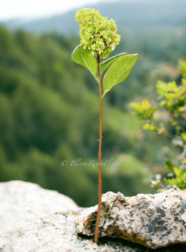 35” Cone Hydrangea Stem Realistic Luxury High Quality Artificial Flower Wedding/Home Decoration Gifts | Decor Silk Floral Light Green H-015