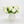 7 stem White Small Head Silk Snowball Hydrangea Bunch Realistic, Faux Artificial Flower | Wedding/Home Decoration Gifts  Floral Faux H-037