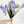 1 Artificial Freesia Real Touch Latex Stem Faux Flowers Floral Centerpiece Wedding Home/Kitchen Hotel Party Decoration DIY Purple