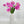 1 Artificial Freesia Real Touch Latex Stem Faux Flowers Floral Centerpiece Wedding Home/Kitchen Hotel Party Decoration DIY Fuchsia