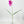 1 Artificial Freesia Real Touch Latex Stem Faux Flowers Floral Centerpiece Wedding Home/Kitchen Hotel Party Decoration DIY Fuchsia