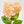 35” Cone Hydrangea Stem Realistic Luxury High Quality Artificial Flower Wedding/Home Decoration Gifts Decor Silk Floral Flowers Peach H-013