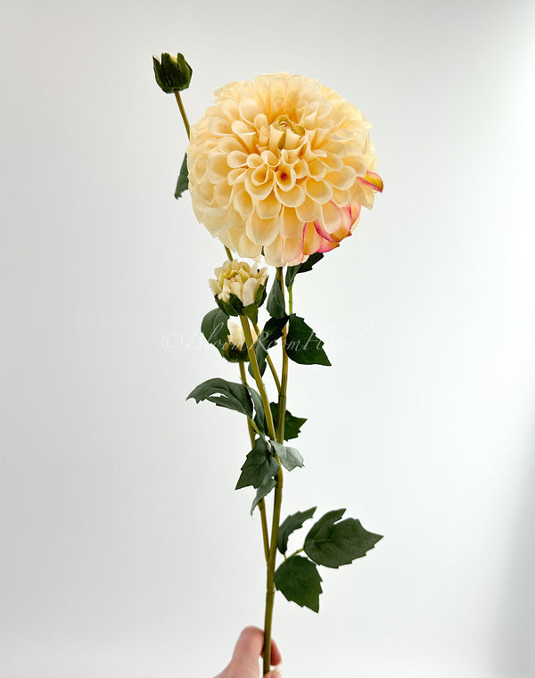 31&quot; Cream Palmares Dahlia Silk | Extremely Realistic Luxury Quality Artificial Flower | Wedding/Home Decoration | Gifts Decor | Floral D-009
