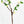 27” Lime Green & White Cherry Blossom Artificial Flowers, Faux Fake Floral Branches, Silk Realistic Home Wedding Kitchen Decor Spring 1 Stem