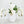 18” White Orchid Stem Artificial Flowers, Faux Fake Floral Branches, Real Touch Orchid Realistic Home Wedding Kitchen Decor Spring