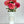 31" Pink Ombre Palmares Silk Dahlia | Extremely Realistic Luxury Quality Artificial Flower | Wedding/Home Decoration | Decor | Floral D-011