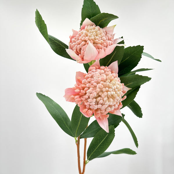 35” Pink Telopea Stem Lifelike Extremely Realistic Luxury Quality Artificial Flower Wedding/Home Decor Gifts | Decor Silk Floral Flowers