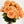 Real Touch Orange English Rose | 23" Tall Luxury Quality Artificial Flower | Wedding/Home Decoration | Gift Decor | Floral Faux Floral R-040