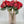 14" Red 7 Stem Peony Rose Bouquet |  Realistic high Quality Artificial Flowers’s  Kitchen/Wedding/Home Decoration Gifts French Floral Flower