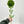 Real Touch Dark Green Dianthus | Extremely Realistic Luxury Quality Artificial Flower | Wedding/Home Decoration | Gifts | Decor | Floral