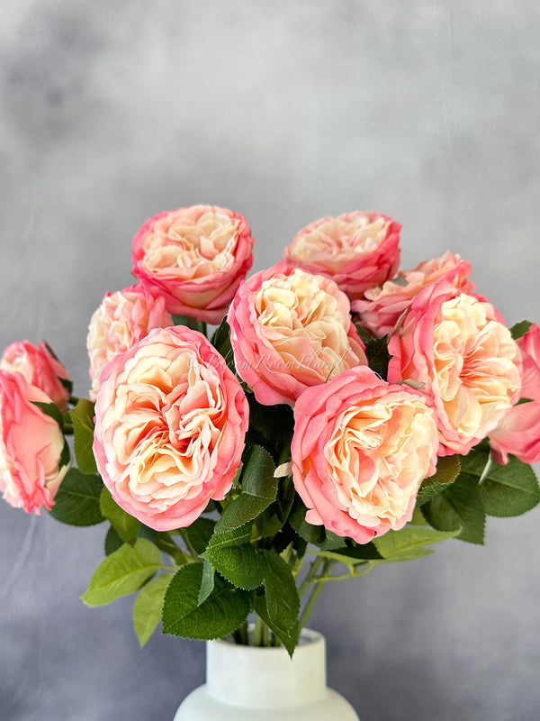 Real Touch Ombre Pink English Rose | 23&quot; Tall Luxury Quality Artificial Flower | Wedding/Home Decoration | Gifts Decor | Floral Faux R-041