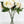 White Peony Silk Stem | Extremely Realistic High-Quality Artificial Kitchen/Wedding/Home Decoration Gift French Floral Flower Bouquet
