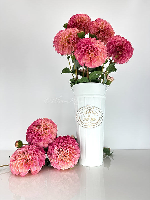 31&quot; Pink Ombre Palmares Silk Dahlia | Extremely Realistic Luxury Quality Artificial Flower | Wedding/Home Decoration | Decor | Floral D-011