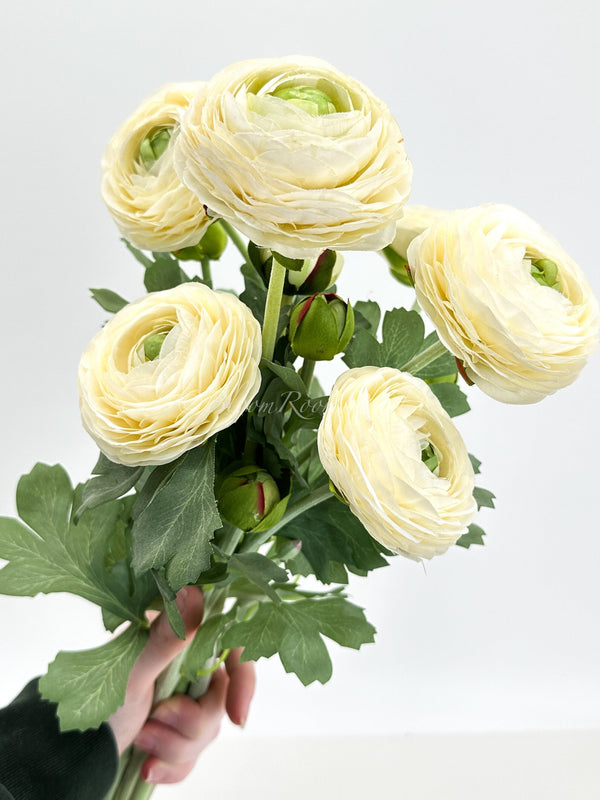 White/Cream Ranunculus High-Quality Artificial Flower | Wedding/Home Decoration Gifts | Decor | Floral Artificial Flower, Craft Supply, Faux