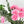 19" Pink Carnation Silk Flower Stem Faux Flower Floral Centerpiece Accessories Wedding Home Kitchen Hotel Party Decoration DIY