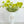 Green Poppy Stem | 23" Tall Luxury Quality Artificial Flower | Wedding/Home Decoration | Gifts Decor | Floral Faux Floral, Poppy Stem