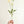 White Poppy Stem | 23" Tall High Quality Artificial Flower | Wedding/Home Decoration | Gifts Decor | Floral Faux Floral, Poppy Stem