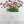 Puce Poppy Stem | 23" Tall High Quality Artificial Flower | Wedding/Home Decoration | Gifts Decor | Floral Faux Floral, Poppy Stem