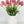 5 Blush Pink Real Touch Tulips Artificial Flower, Realistic Luxury Quality Artificial Kitchen/Wedding/Home Gifts Decor Floral Craft Floral