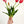 5 Stem Hot Pink Real Touch Tulips Artificial Flower Realistic Luxury Quality Artificial Kitchen/Wedding/Home Gifts Decor Floral Craft Floral