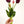 5 Stem Wine Burgundy Real Touch Tulips Artificial Flower, Realistic Luxury Quality Artificial Kitchen/Wedding/Home Gifts Decor Floral Craft