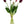 5 Stem Wine Burgundy Real Touch Tulips Artificial Flower, Realistic Luxury Quality Artificial Kitchen/Wedding/Home Gifts Decor Floral Craft
