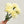 19" Cream Carnation Silk Flower Stem Faux Flower Floral Centerpiece Accessories Wedding Home Kitchen Hotel Party Decoration DIY