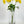 Yellow Poppy Stem | 20" Tall High Quality Artificial Flower | Wedding/Home Decoration | Gifts Decor | Floral Faux Floral, Poppy DIY Craft
