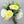 Yellow Ranunculus White Hydrangea Green Berry Bouquet Artificial Flower Wedding/Home Decoration | Decor Floral, Centerpiece, Arrangement