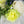 Yellow Ranunculus Purple Lavender White Hydrangea Green Berry Bouquet Artificial Flower Wedding/Home Decoration | Decor Floral, Arrangement