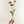 Puce Poppy Stem | 23" Tall High Quality Artificial Flower | Wedding/Home Decoration | Gifts Decor | Floral Faux Floral, Poppy Stem