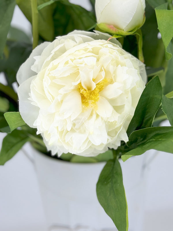 White Moutan Silk Peony Stem Realistic High-Quality Artificial Kitchen/Wedding/Home Decoration Gift French Floral Flower Craf Bouquet P-015