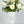 White Moutan Silk Peony Stem Realistic High-Quality Artificial Kitchen/Wedding/Home Decoration Gift French Floral Flower Craf Bouquet P-015