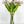 24" White/Pink Parrot Tulip | Realistic Luxury Quality Artificial Flower | Wedding/Home Decoration | Decor | Floral Tulip Gift Silk Bouquet