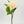 Cream Chinese Peony Silk Floral Artificial Flower | Wedding/Home Decoration Gifts | Décor | Floral, Spring Flowers, Wedding Flowers P-002