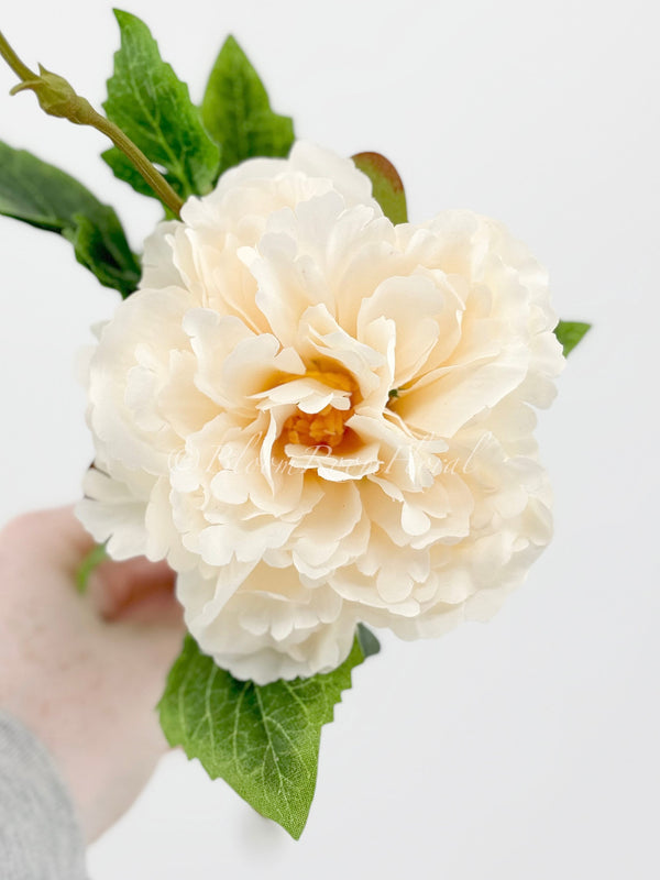 Cream Chinese Peony Silk Floral Artificial Flower | Wedding/Home Decoration Gifts | Décor | Floral, Spring Flowers, Wedding Flowers P-002