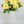 Yellow Moutan Silk Peony Stem Realistic High-Quality Artificial Kitchen/Wedding/Home Decoration Gift French Floral Flower Bouquet P-011