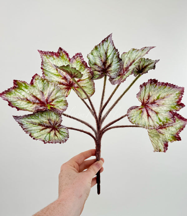 Artificial Begonia Leaves Faux Flowers 14&quot; Floral Centerpiece Wedding Home/Kitchen Hotel Party Decoration DIY/ Begonia/ Spring Flowers M-001