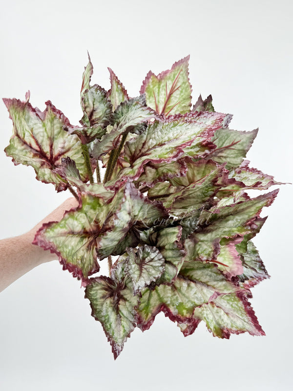 Artificial Begonia Leaves Faux Flowers 14&quot; Floral Centerpiece Wedding Home/Kitchen Hotel Party Decoration DIY/ Begonia/ Spring Flowers M-001