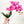 18” Pink Orchid Stem Artificial Flowers, Faux Fake Floral Branches, Real Touch Orchid Realistic Home Wedding Kitchen Decor Spring